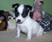 Click to view classifieds GHHRUXEA