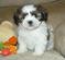 Click to view classifieds KZOOXMJX