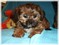 Click to view classifieds HLQGYFFB