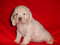Click to view classifieds HBQDVCQY