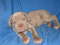 Click to view classifieds TRJJBHAT