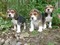 Click to view classifieds BKXXXDTD