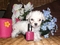 Click to view classifieds RBNTKTJW