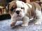 Click to view classifieds ZHTFECAO