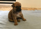 Click to view classifieds BSGPFGUB