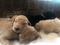 Click to view classifieds VUQHZSWM