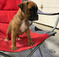 Click to view classifieds TBEAMTXN