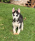 Click to view classifieds HAVBAKXQ