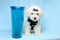 Click to view classifieds RRUBWMXA