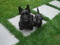 Click to view classifieds NFWEPMLZ