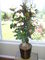 Click to view classifieds LXDPGCZR