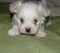 Click to view classifieds MCWASSEC