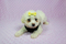 Click to view classifieds WXQSAMAA