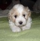 Click to view classifieds XSOVQRWJ