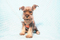 Click to view classifieds RPZPYGXQ