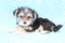 Click to view classifieds LFTMTAEC