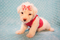 Click to view classifieds CAROJYZP