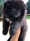 Click to view classifieds XCNLQRZO