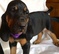 Click to view classifieds RUMWZEEV