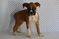 Click to view classifieds AGQYHBGG