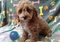 Click to view classifieds VKURVMKW