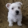 Click to view classifieds JYRPXBKE