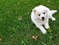 Click to view classifieds CBOSPQHL