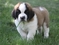 Click to view classifieds XQJXBZLY
