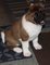Click to view classifieds CVJWEEDH
