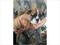 Click to view classifieds OCWYKOSH