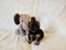 Click to view classifieds BECSMMON