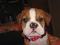 Click to view classifieds KCXWDAHF