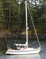 Click to view classifieds PVWVPHQV