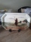 Click to view classifieds VDGGXEKP