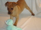Click to view classifieds SUXNYGXC