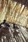Click to view classifieds ARCHMZWA