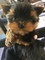 Click to view classifieds SOEXLNWE