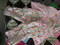 Click to view classifieds AGMUQKHJ