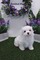 Click to view classifieds QMNBUWPR