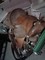 Click to view classifieds EJRBXYUP