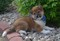 Click to view classifieds WKUOBFCN