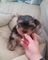 Click to view classifieds HHDVXOZY