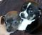 Click to view classifieds YLBSJZOE