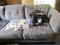 Click to view classifieds YMXMOYXV