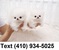 Click to view classifieds WELPXUBC