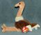 Click to view classifieds YMURSVAA