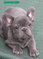 Click to view classifieds LCWQQNEK