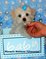 Click to view classifieds VWWPZSBD