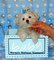 Click to view classifieds CPZGPQDV