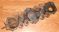 Click to view classifieds TCKJZHGD